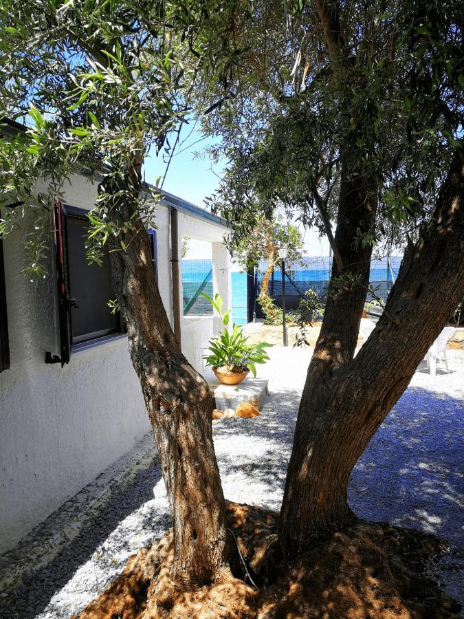 Villa La Plaja Cefalù Exterior foto